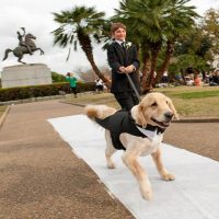 Puppy at a Wedding