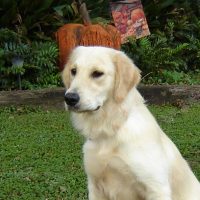 Hunnington's "Molly" Hunnington's Molly