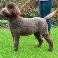 Hunnington's "Kate" Hunnington's "Kate"