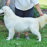 Hunnington Farms Memphis Hunnington Farms Memphis